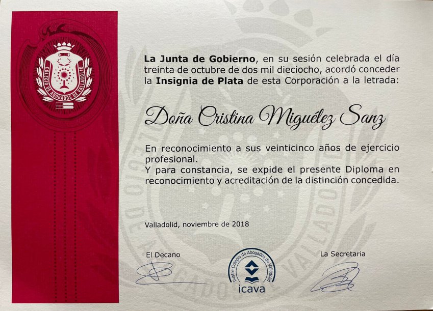 diploma de Insignia de plata ICAVA